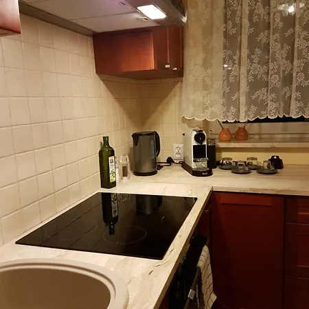 Kasztanowy Park Apartment